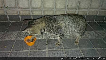 105020.jpg