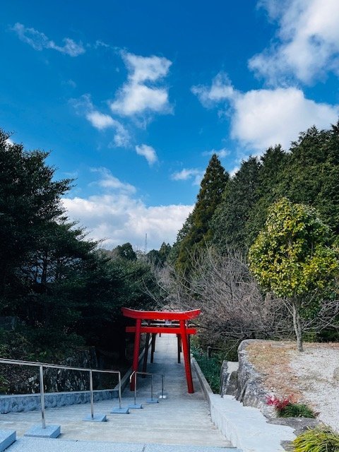 2024佐賀旅行趣~ DAY 2 日本三大朝市之一～呼子朝市