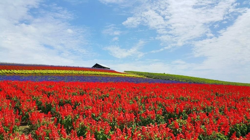 【日本】2017北海道道東自駕旅遊--行程篇