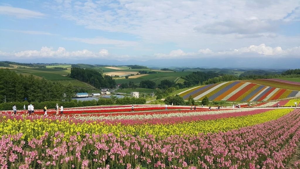 【日本】2017北海道道東自駕旅遊--行程篇