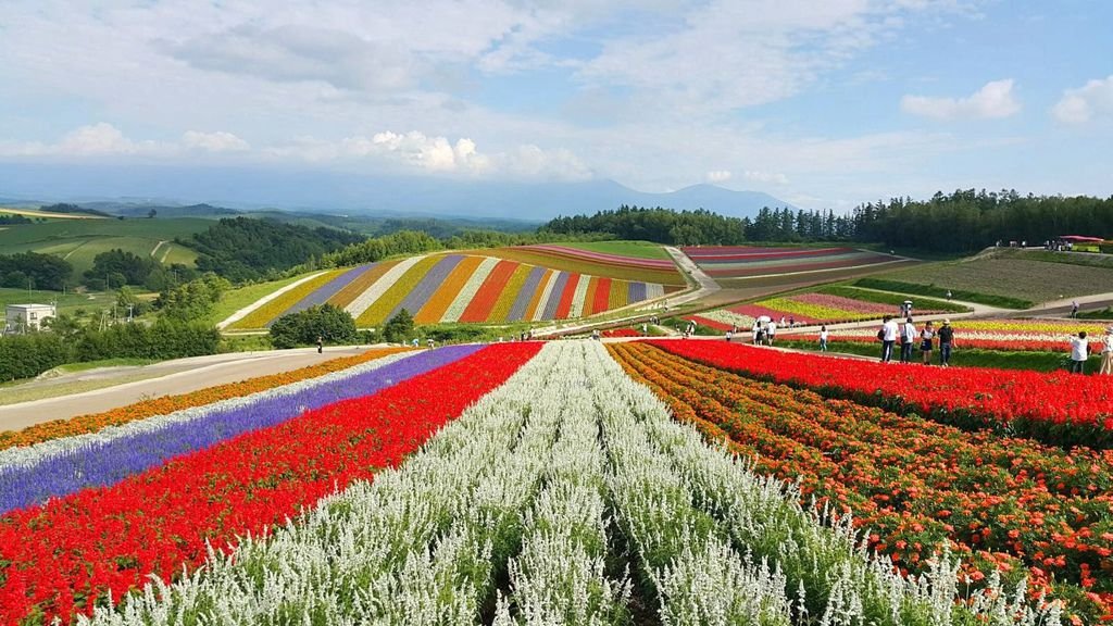 【日本】2017北海道道東自駕旅遊--行程篇