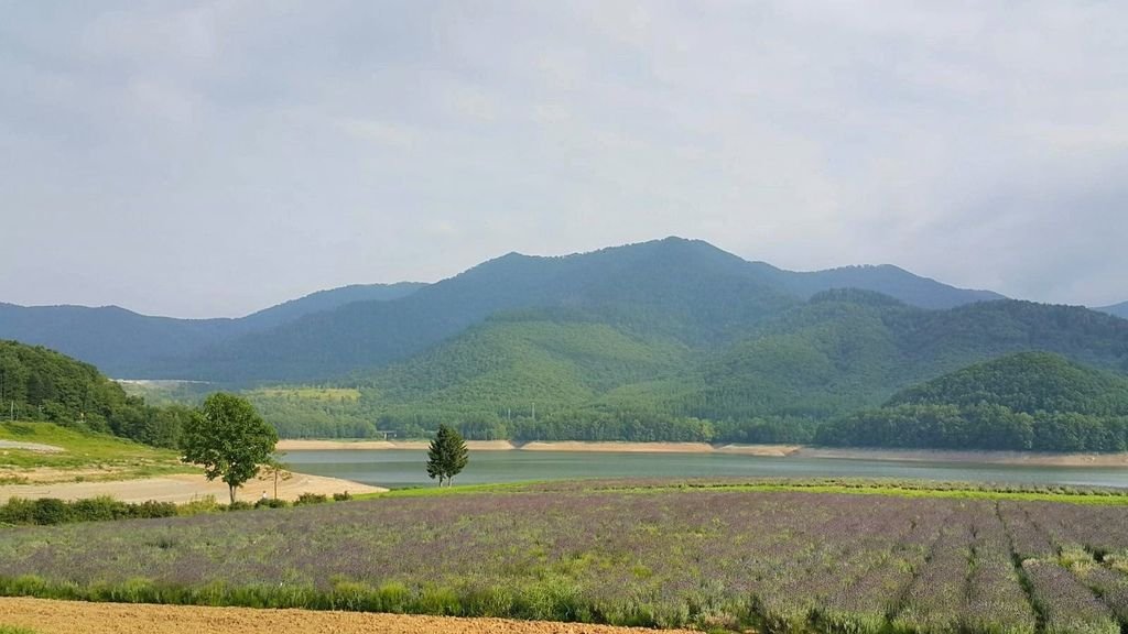 【日本】2017北海道道東自駕旅遊--行程篇