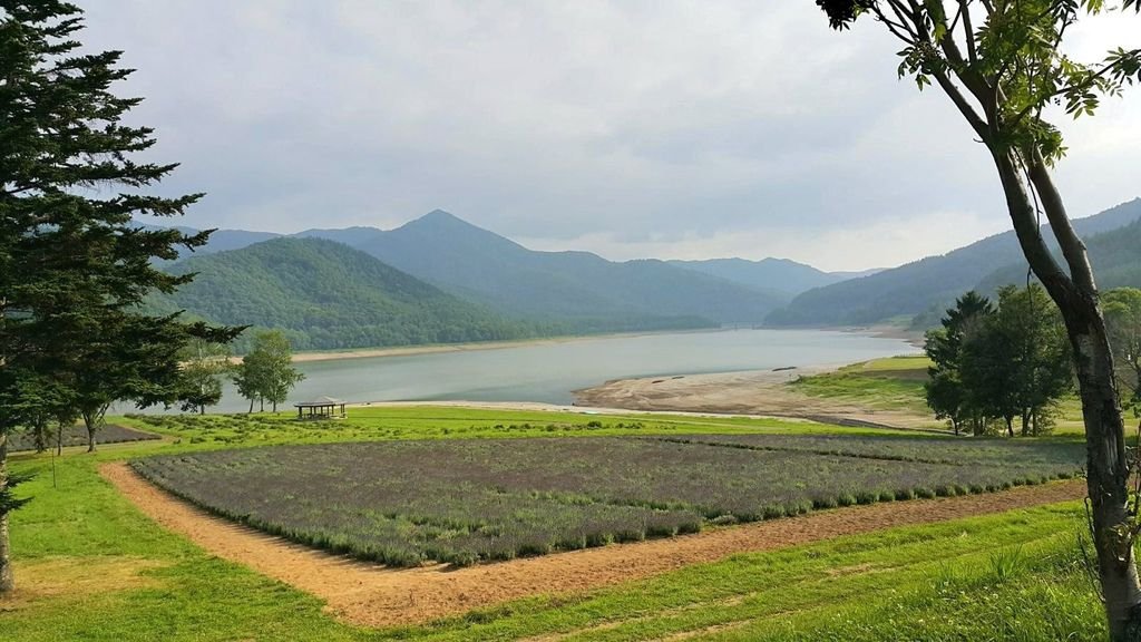 【日本】2017北海道道東自駕旅遊--行程篇