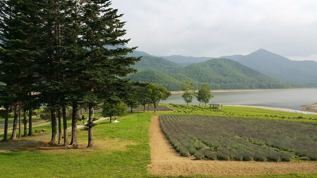 【日本】2017北海道道東自駕旅遊--行程篇