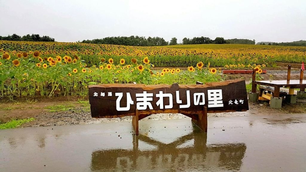 【日本】2017北海道道東自駕旅遊--行程篇