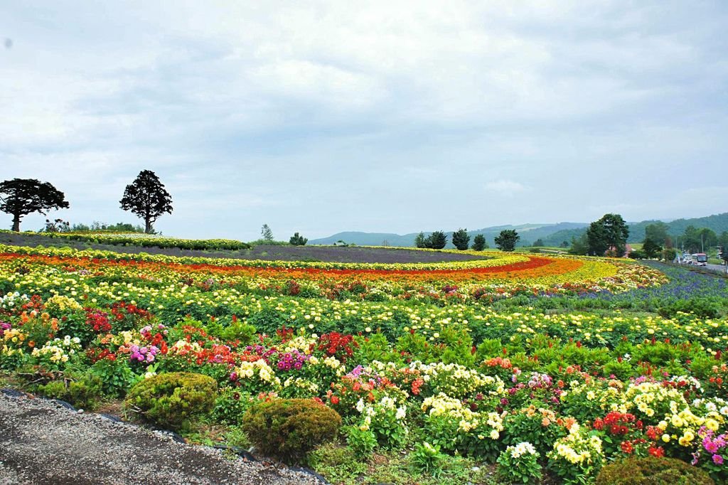 【日本】2017北海道道東自駕旅遊--行程篇