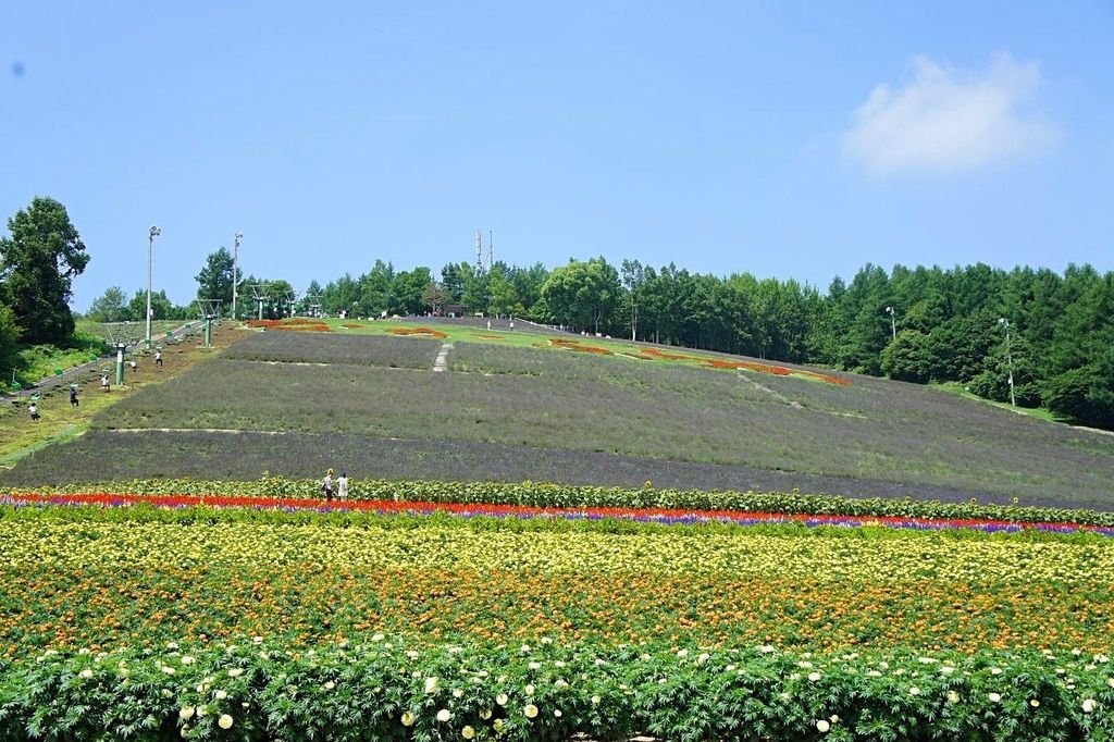 【日本】2017北海道道東自駕旅遊--行程篇