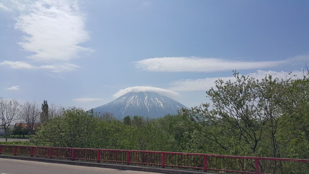 【日本北海道】俱知安町三島さんの家芝桜庭園