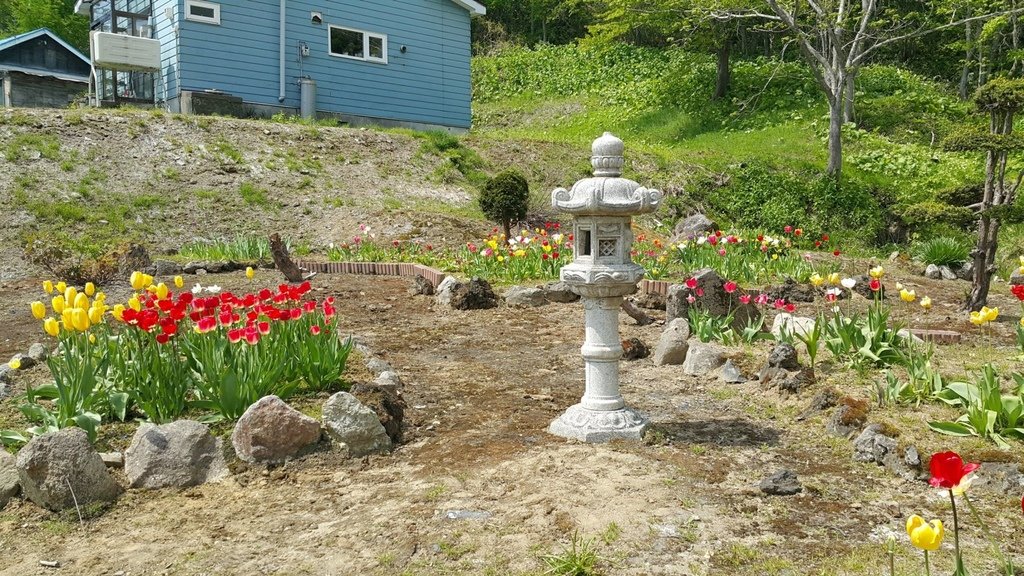 【日本北海道】俱知安町三島さんの家芝桜庭園