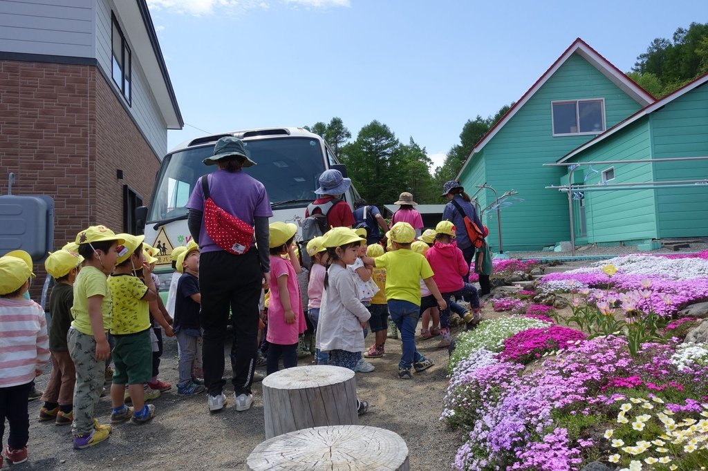 【日本北海道】俱知安町三島さんの家芝桜庭園