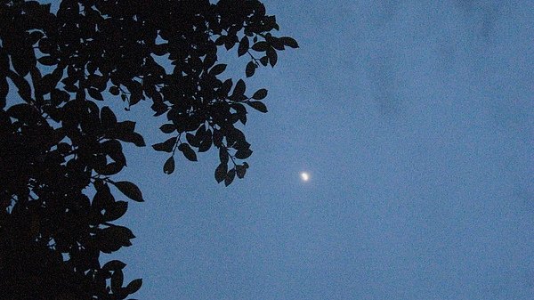 IMG_7180.JPG