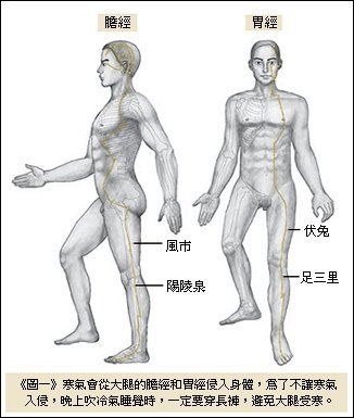 人體復原工程圖.JPG