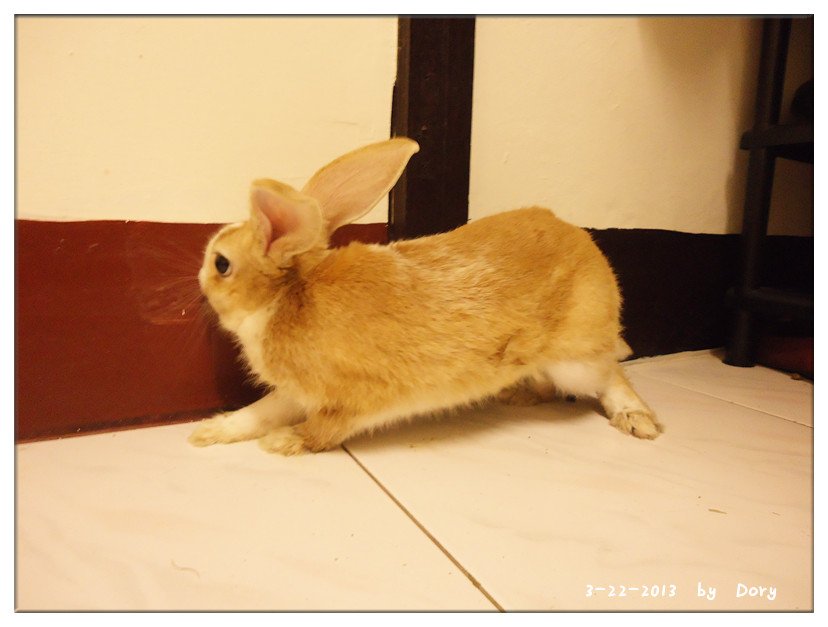 DSC07500_副本