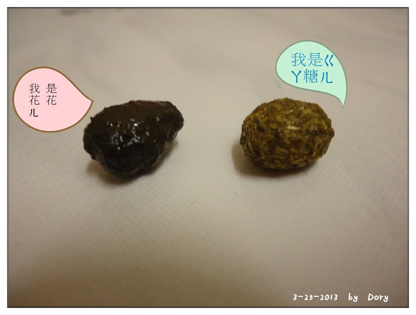 DSC07557_副本
