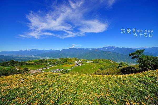 20140823六十石山金針花