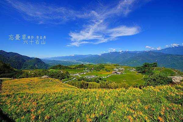 20140823六十石山金針花