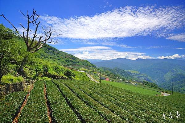 隙頂二延平步道