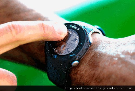 garmin forerunner 610.jpg