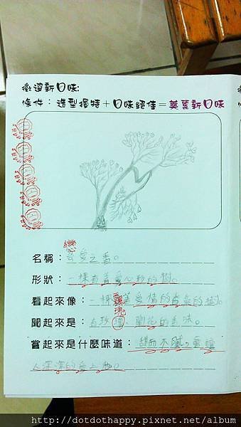 *哈利波特魔法糖*