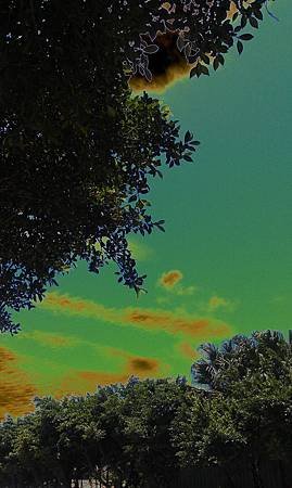 IMAG0384.jpg