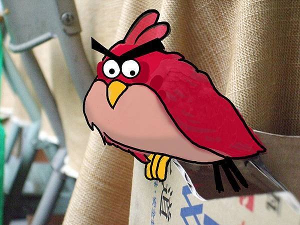 angrybird.jpg