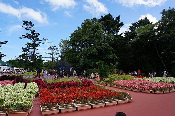 Fuji Safari Park 美的像畫一樣