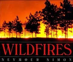 Wildfires