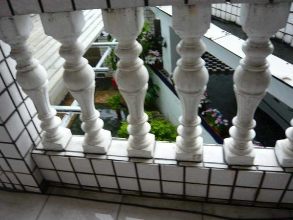 P1020039.jpg