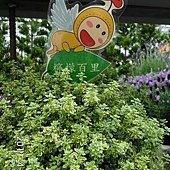 2011花博0026.jpg