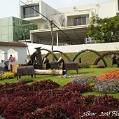 2011花博0054.jpg