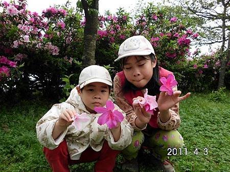 2011陽明山花季0010.jpg