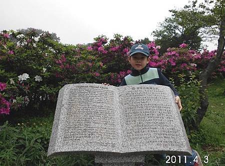 2011陽明山花季0009.jpg
