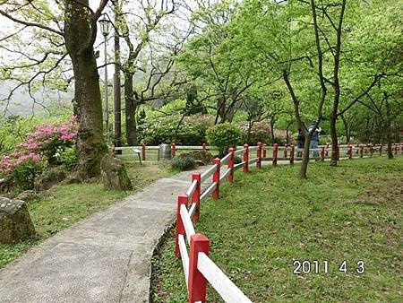 2011陽明山花季0025.jpg