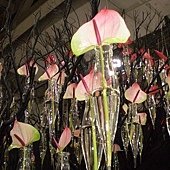 2011花博0034.jpg