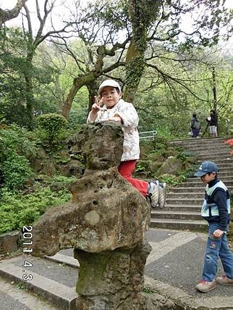 2011陽明山花季0017.jpg