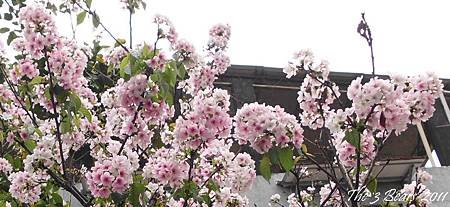 奇岩06.jpg