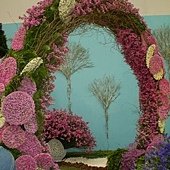2011花博0043.jpg