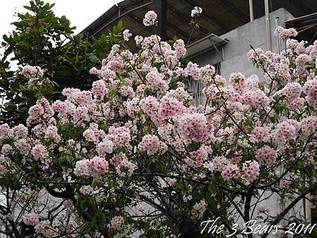 奇岩04.JPG