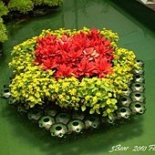 2011花博0048.jpg