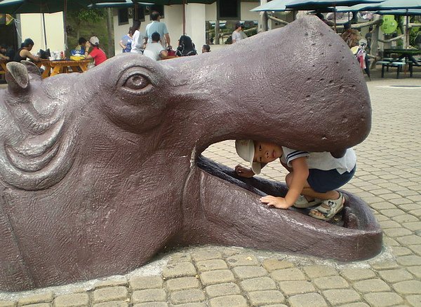 1008 024.jpg