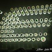 2011花博0075.jpg