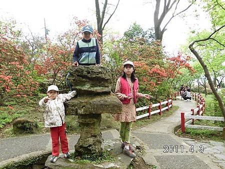 2011陽明山花季0016.jpg