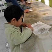 2011花博0009.jpg