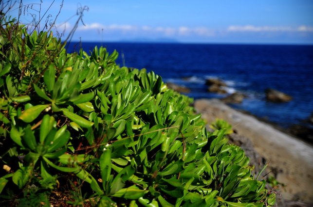 DSC_2222_調整大小