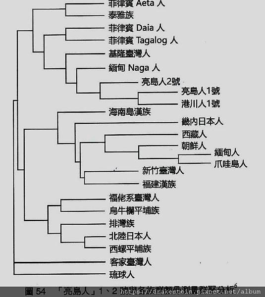 顱骨分析.jpg