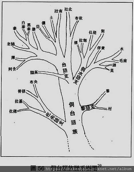 侗台語譜系圖.jpg