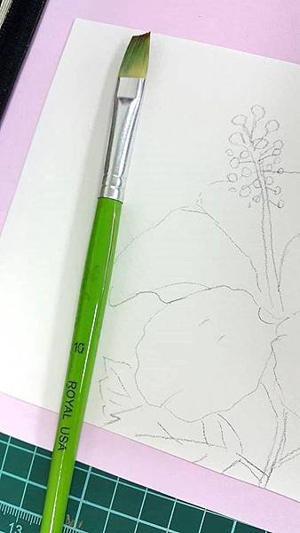 廣告顏料 水彩 壓克力顏料 繪畫 扶桑花3