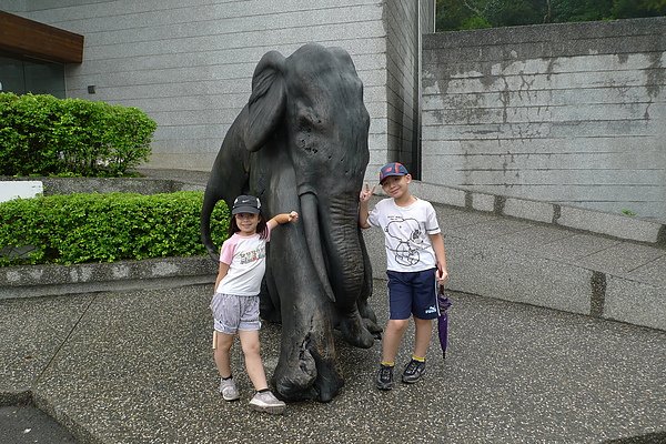 P1000754.JPG