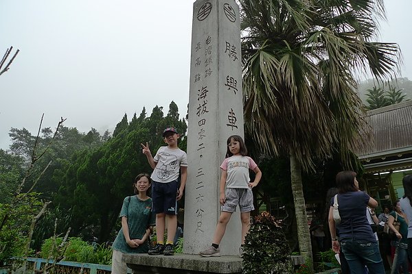 P1000778.JPG