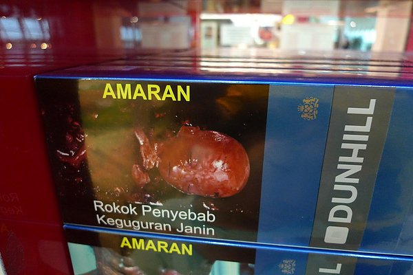 P1010130.JPG